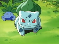 Bulbasaur a utajená vesnice