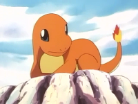 Charmander - zatoulaný pokémon