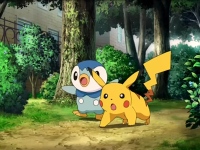 Pikachu a Piplup