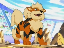 Arcanine