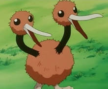 Doduo