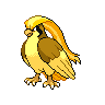 pidgeot