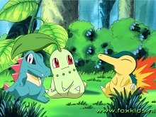 Rokyho dobrodružství - Totodile, Chikorita a Cyndaquil